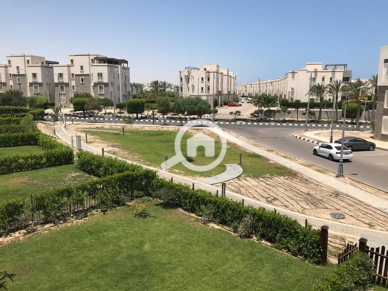 15 WhatsApp Image 2026-01-26 at 14.37. 10 (1). jpeg