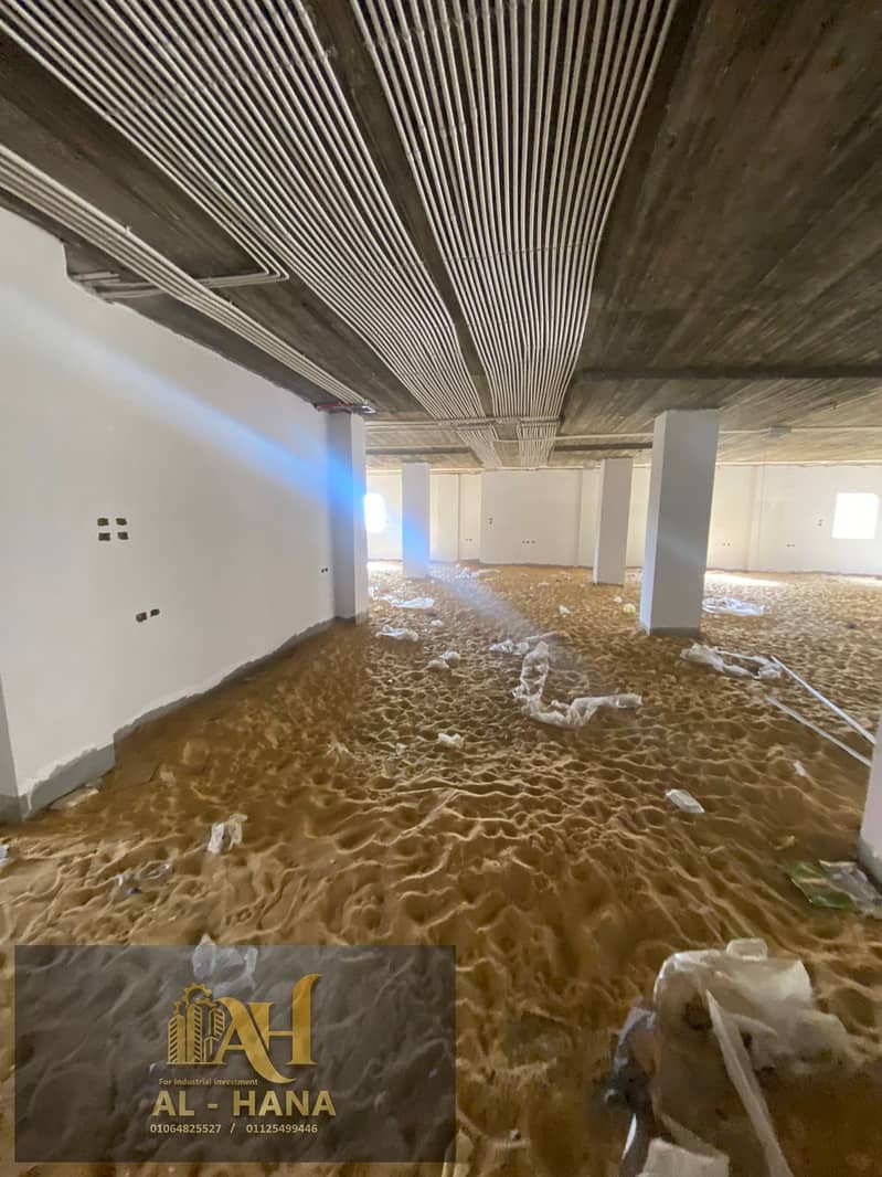 4 WhatsApp Image 2026-01-26 at 4.16. 21 PM (1). jpeg