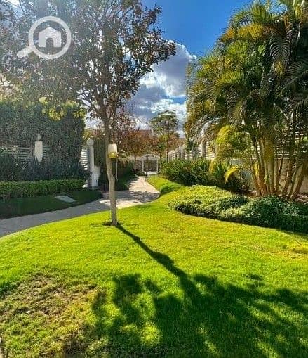 5 580695923_1122838519640533_5749197228162847017_n. jpg