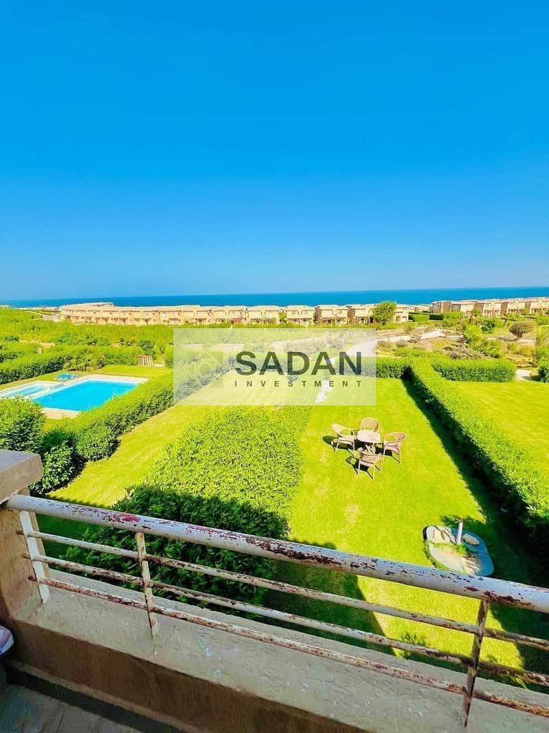 11 617798505_122263110404246253_8552258609170240774_n. jpg