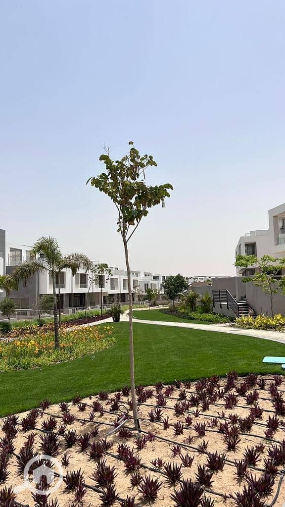 7 photo_18_2026-01-24_14-02-50. jpg