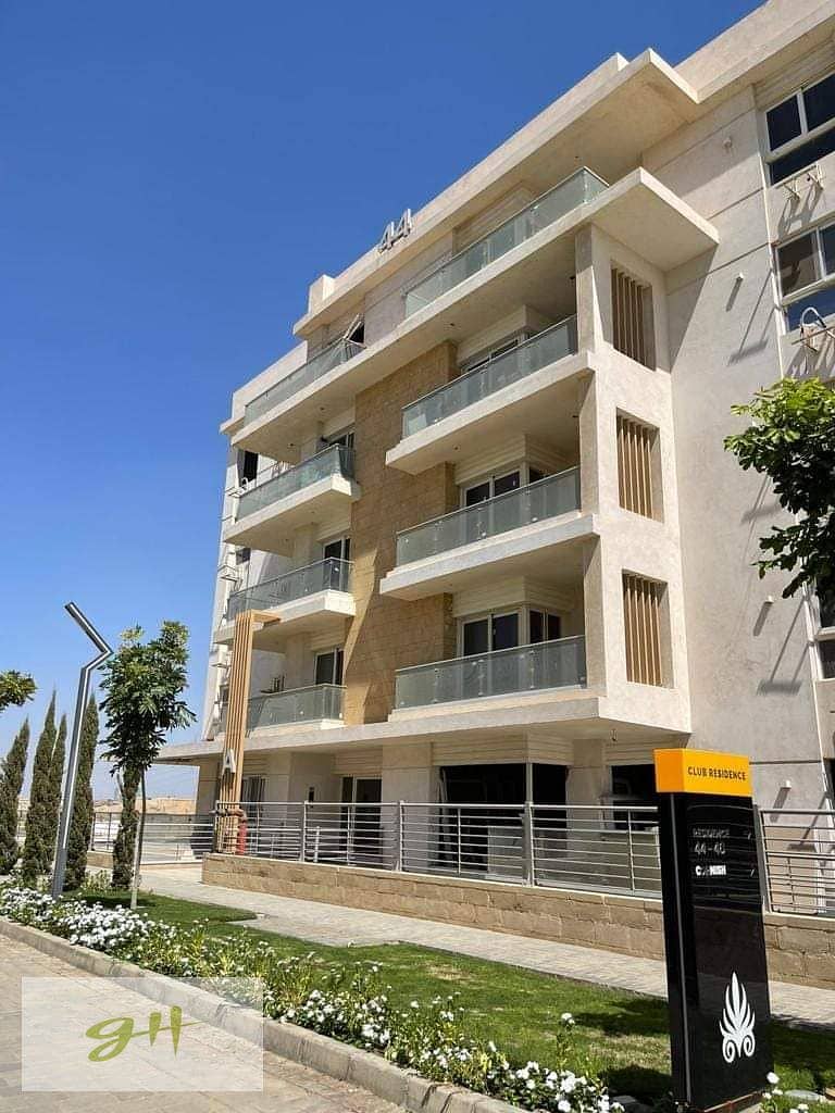 5 FB_IMG_1691824633956. jpg