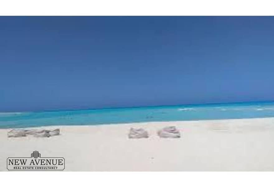 4 1f4549de-84a8-444d-a3d9-665506c4e143. jpg