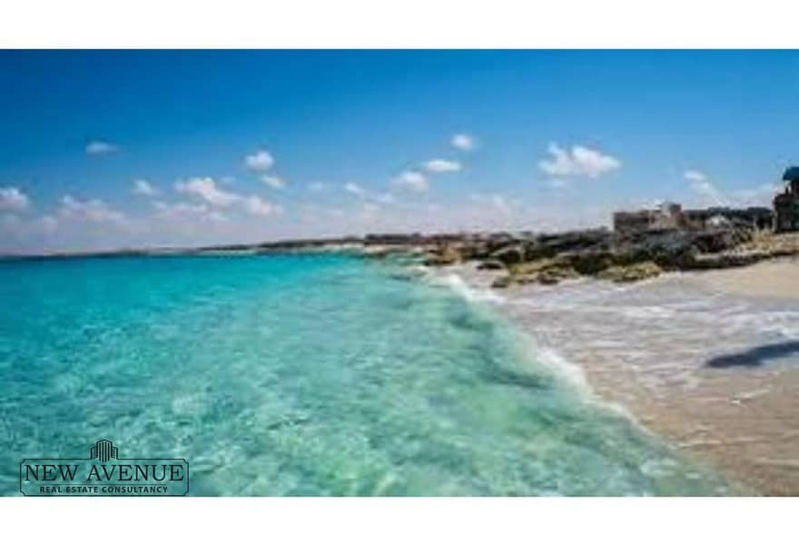 6 985358b4-fa48-482e-8c00-ead7eda0e0c5. jpg