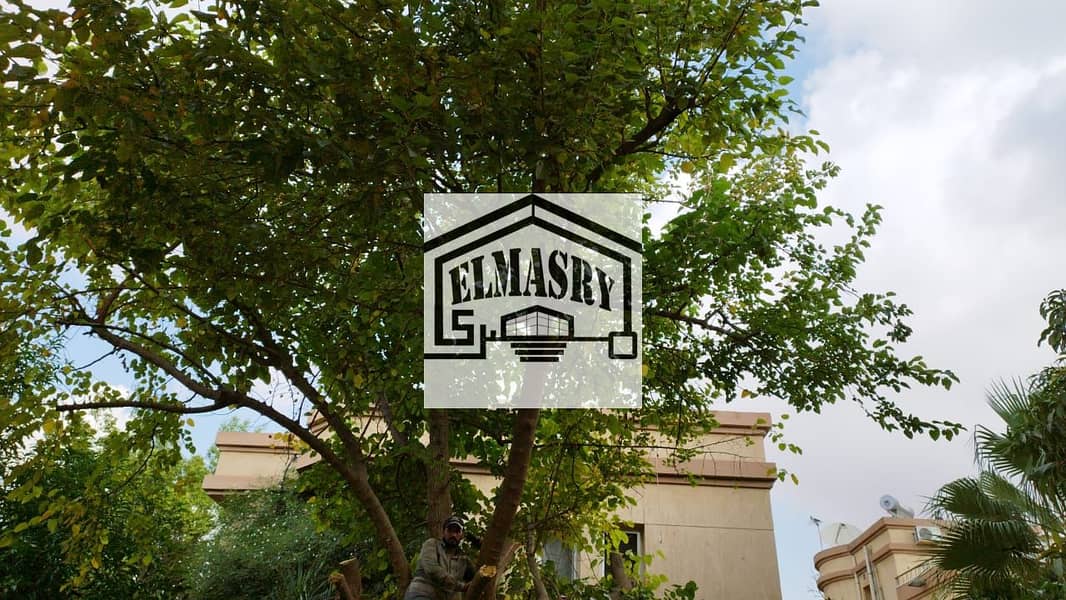 11 e985b3e1-8445-4c8c-beb8-cbc8c073d7db. jpg