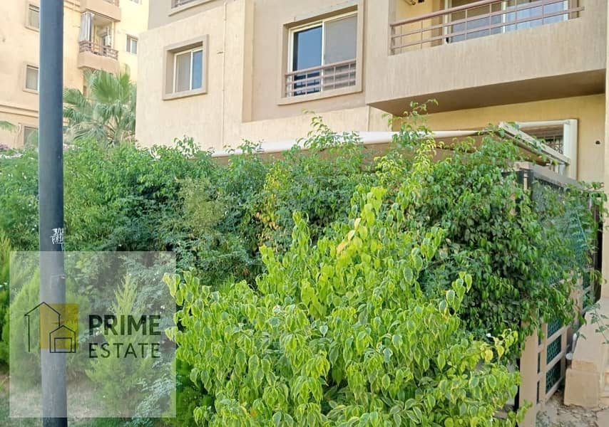 4 WhatsApp Image 2026-01-26 at 2.07. 48 PM (2). jpeg