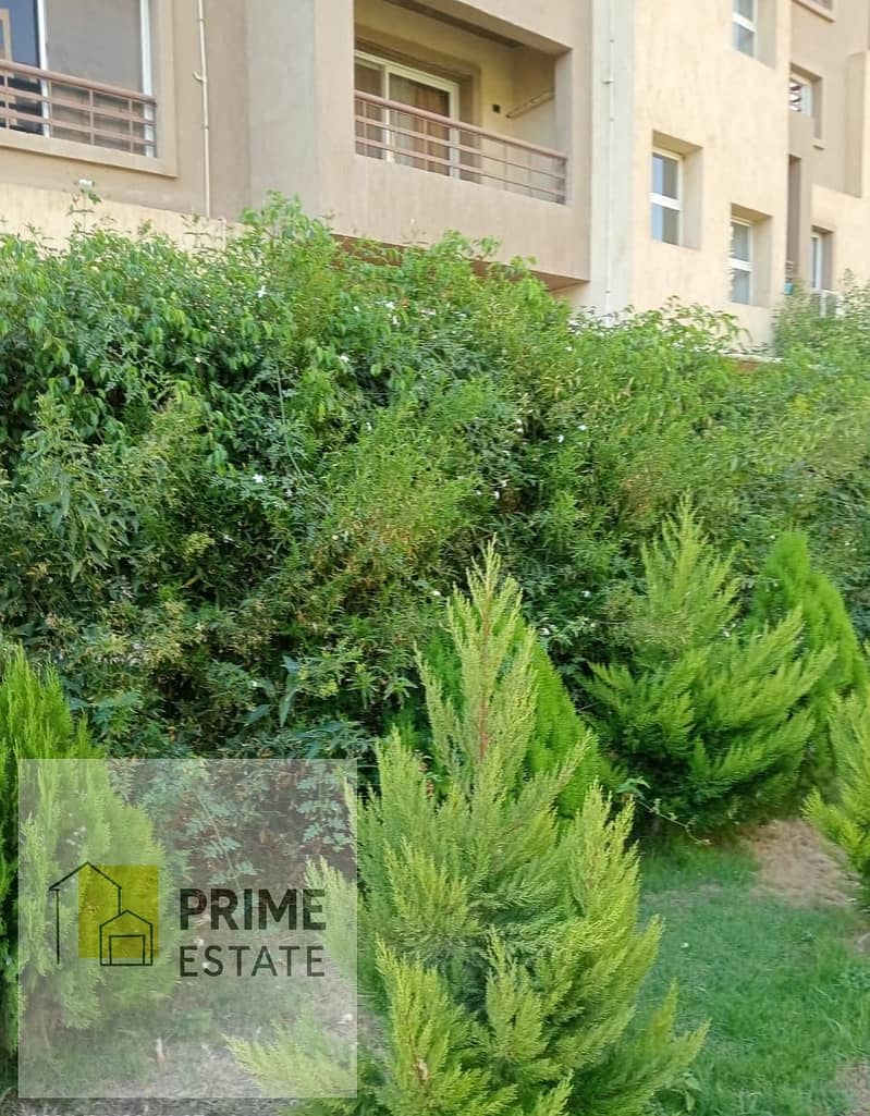 6 WhatsApp Image 2026-01-26 at 2.07. 49 PM (1). jpeg