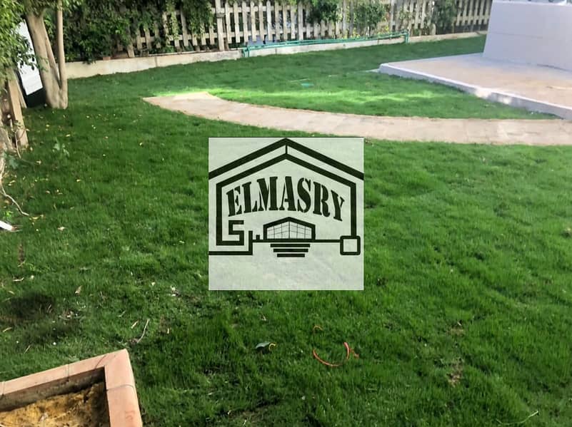 2 7a832e01-7049-40ea-a191-e1337c262364. jpg