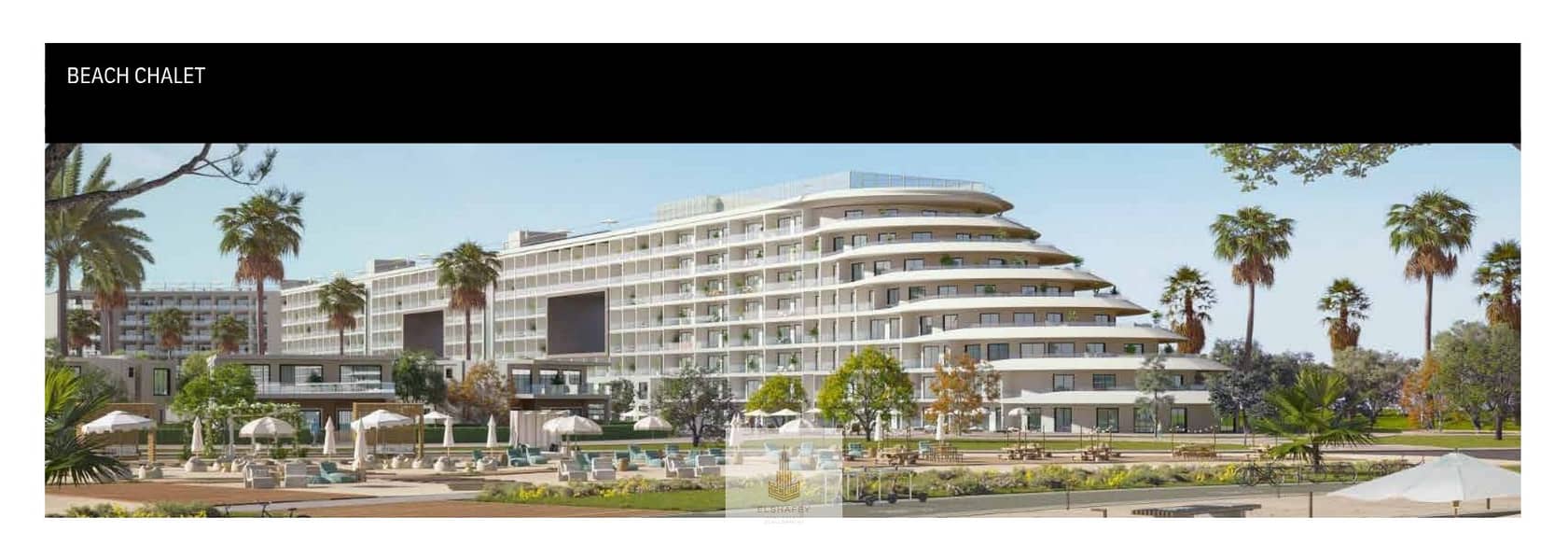 1000023113. png 1000023113. png