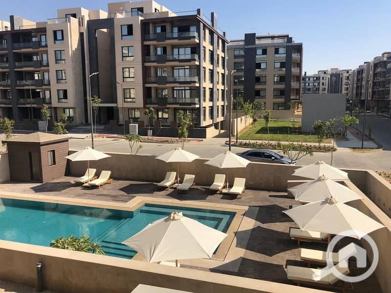 sdcas. jpeg sdcas. jpeg