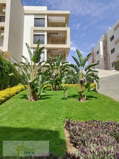 3 Bedroom Apartment for Sale in New Cairo, Cairo - IMG-20240420-WA0208. jpg