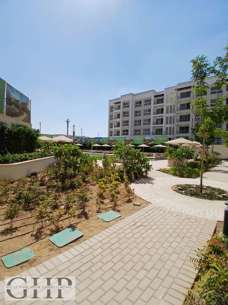 5 WhatsApp Image 2025-07-30 at 16.46. 05_b65c92a4. jpg