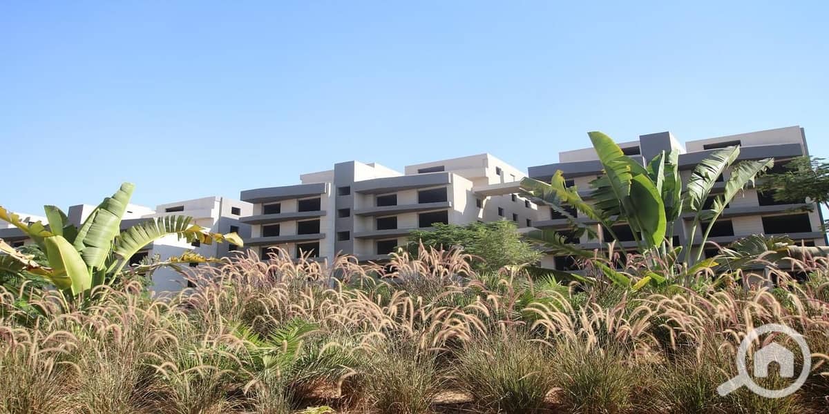 4 37b5d543-66af-4b0b-8d80-abcf28b3d24f. jpeg