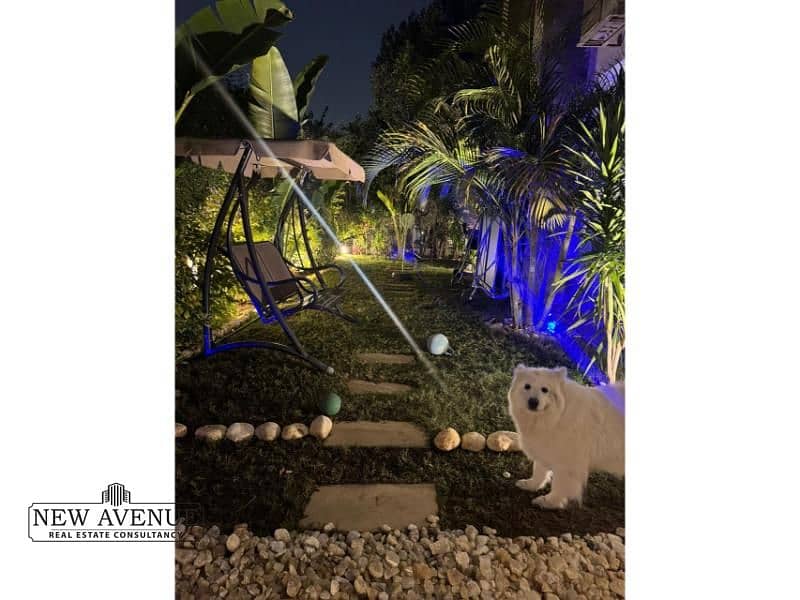 4 WhatsApp Image 2026-01-26 at 1.16. 00 PM (1). jpg