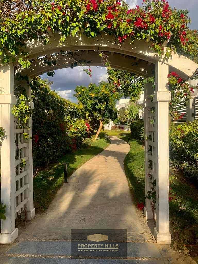 25 a904f26c-0d6d-4efe-bbdc-1c3346d36e0d. jpg