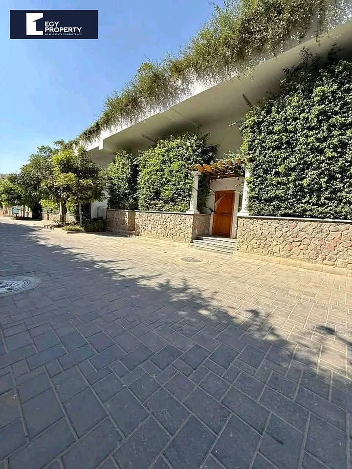 6 584126094_871642131958865_2013051182638749515_n. jpg