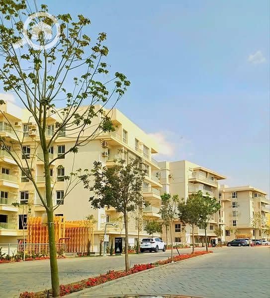 2 517750176_122148216512625465_4142980461246148357_n. jpg