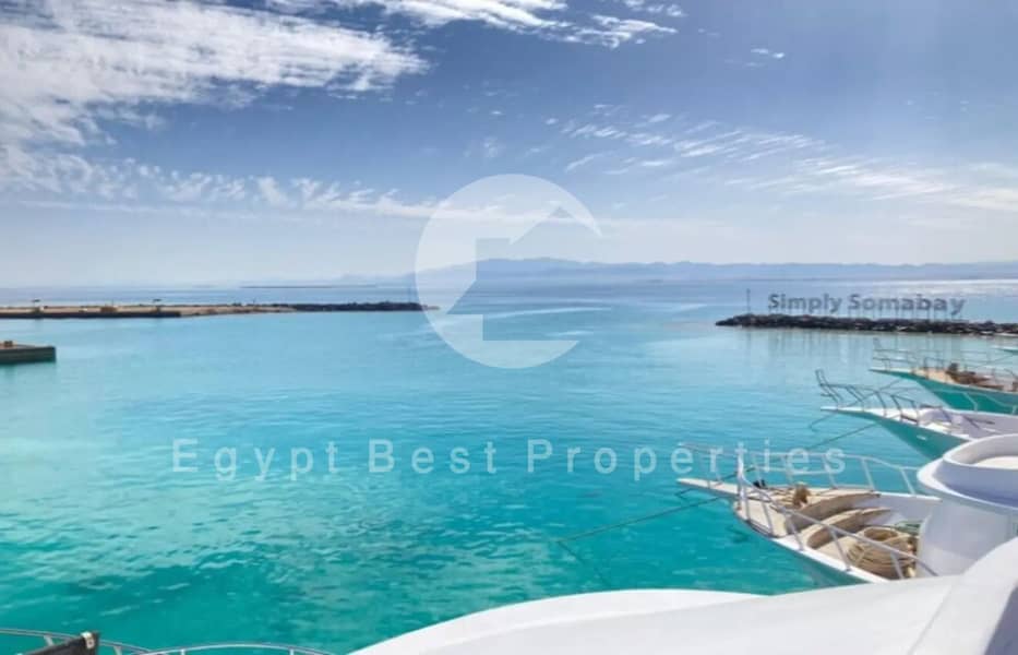 7 7568723-a66d6o. jpg