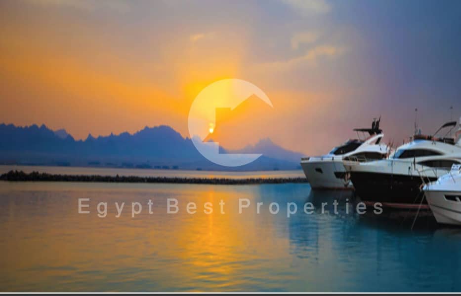 10 Screenshot 2025-08-03 120919. png