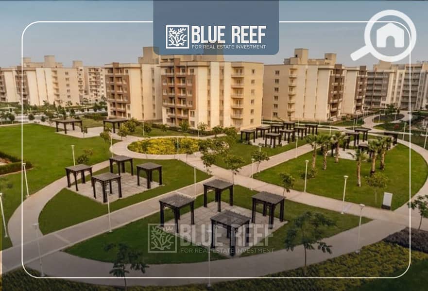 10 قصثقثص. jpg