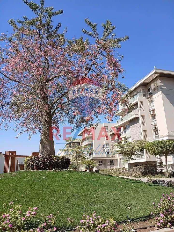 3 533095289_1456051195524527_6867743602472278154_n. jpg