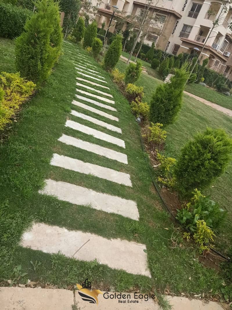 2 16859952-619d-4a00-90d3-9399946dc929. jpeg