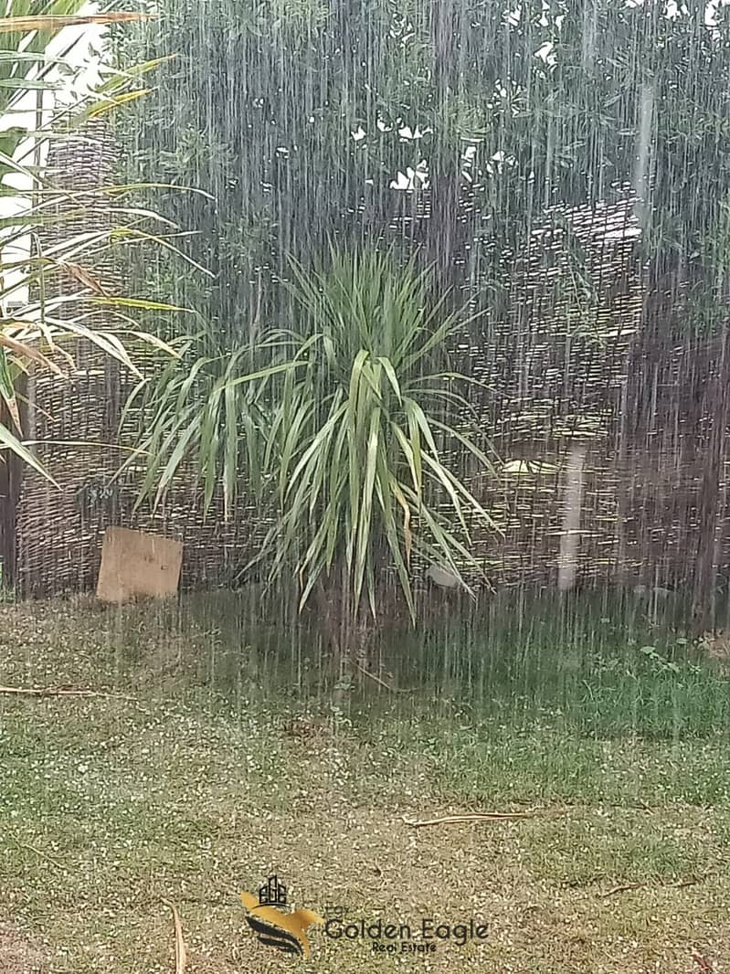 5 e15da673-e7da-4f93-8e8c-aaa193e16b15. jpeg