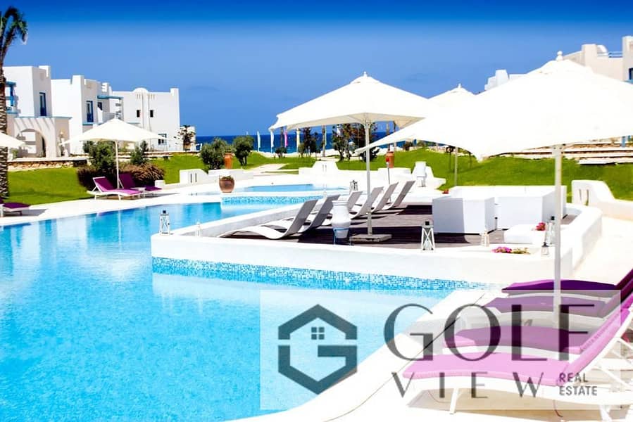 4 WhatsApp Image 2021-11-14 at 11.35. 43 AM (1) - Copy. jpeg