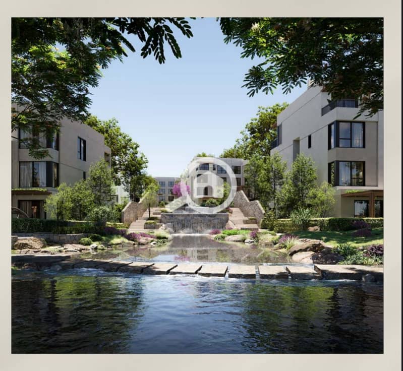 6 photo_7_2026-01-20_13-20-08. jpg