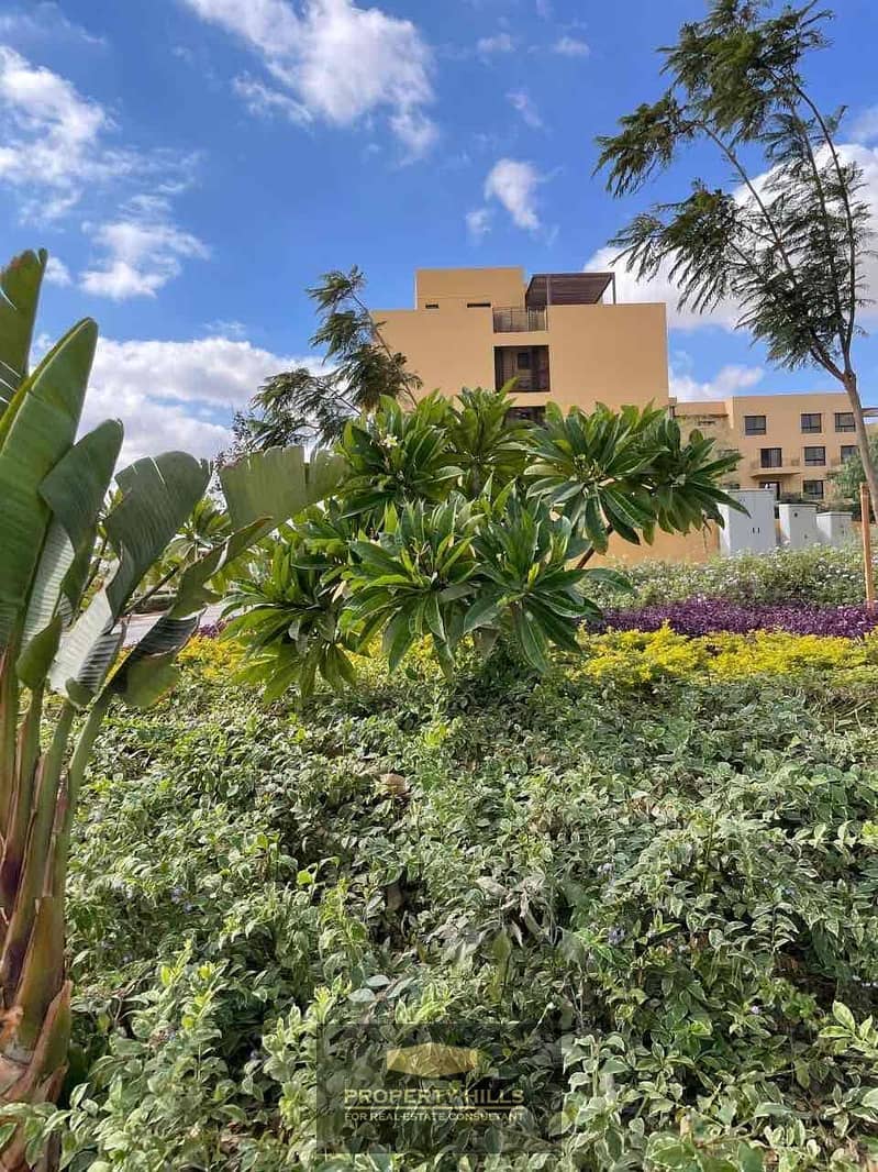 25 330558c8-a0e8-475f-9bd8-08d4fef878c6. jpg