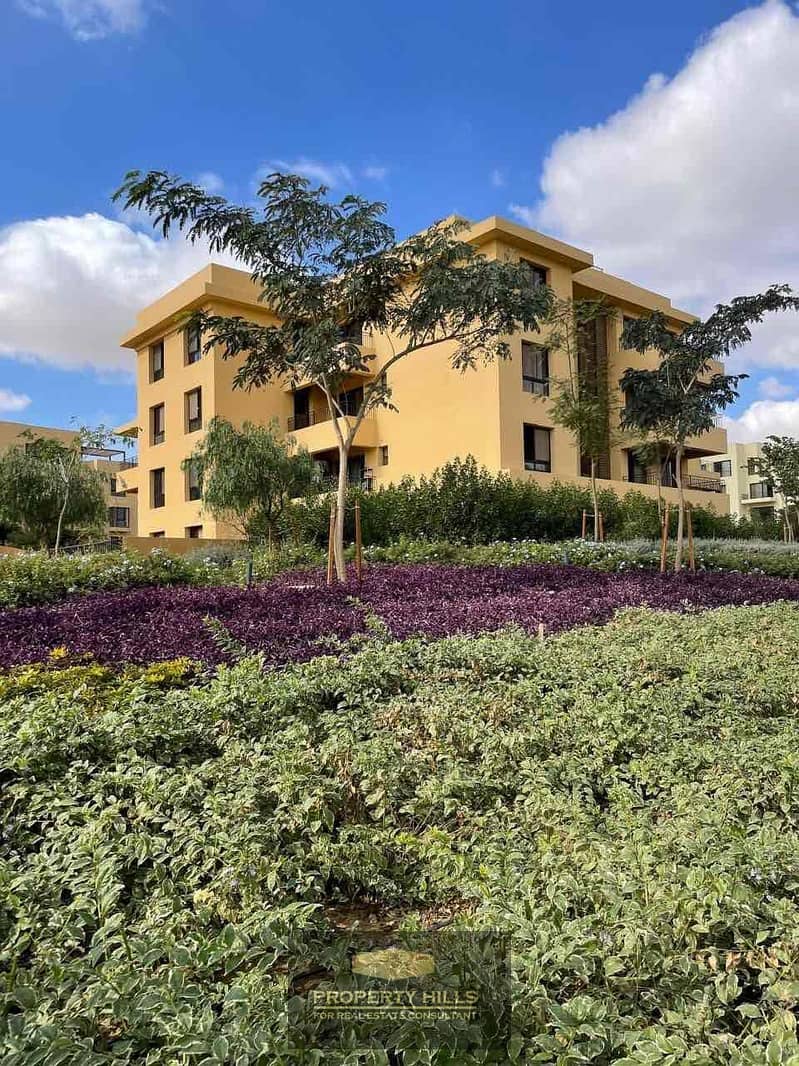 32 5ac5c2ad-64f9-4df0-b172-4f89b4d356bb. jpg