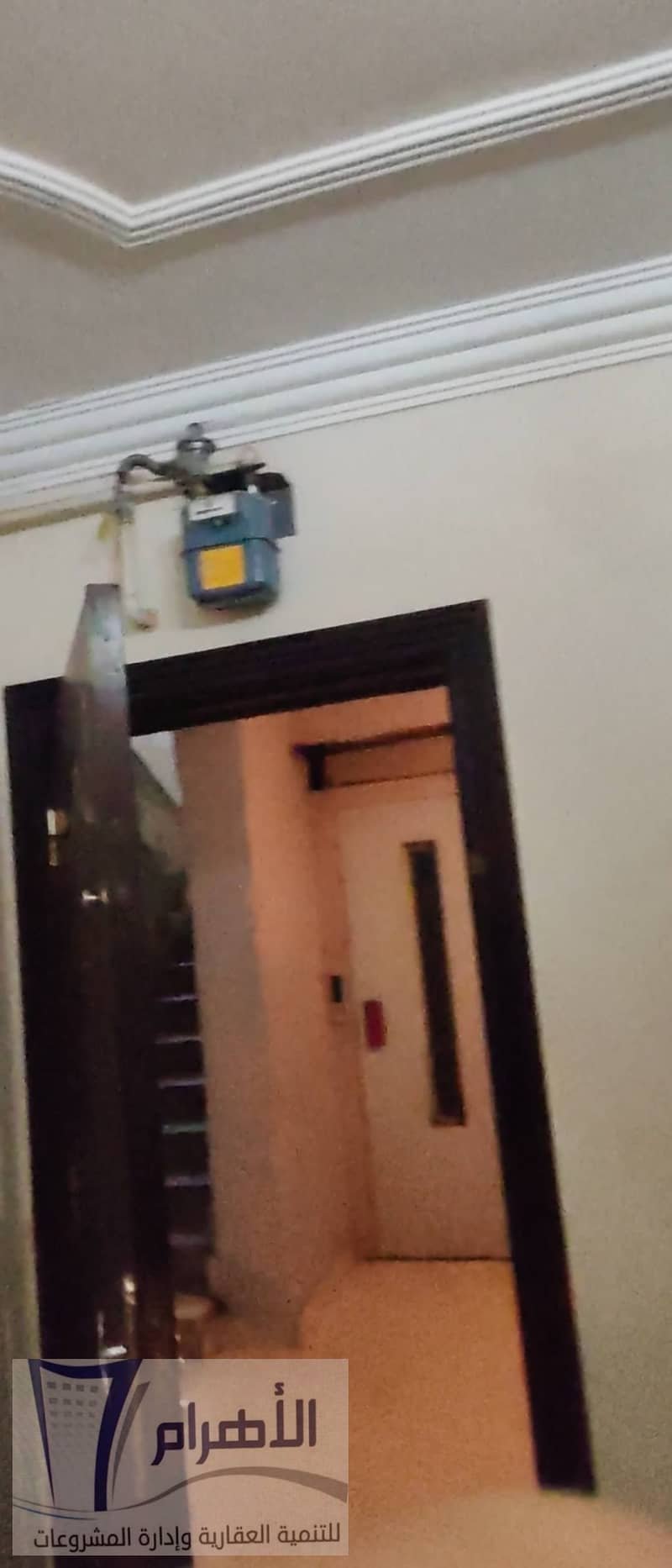 9 619416088_1196002309344635_6744081408070337652_n. jpg