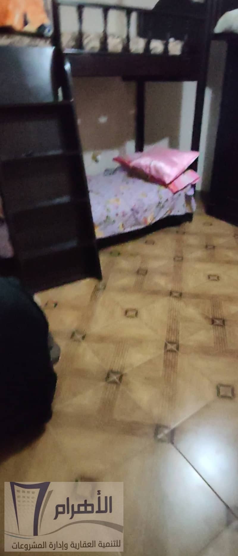 11 621671446_1196002556011277_5933794920366033918_n. jpg