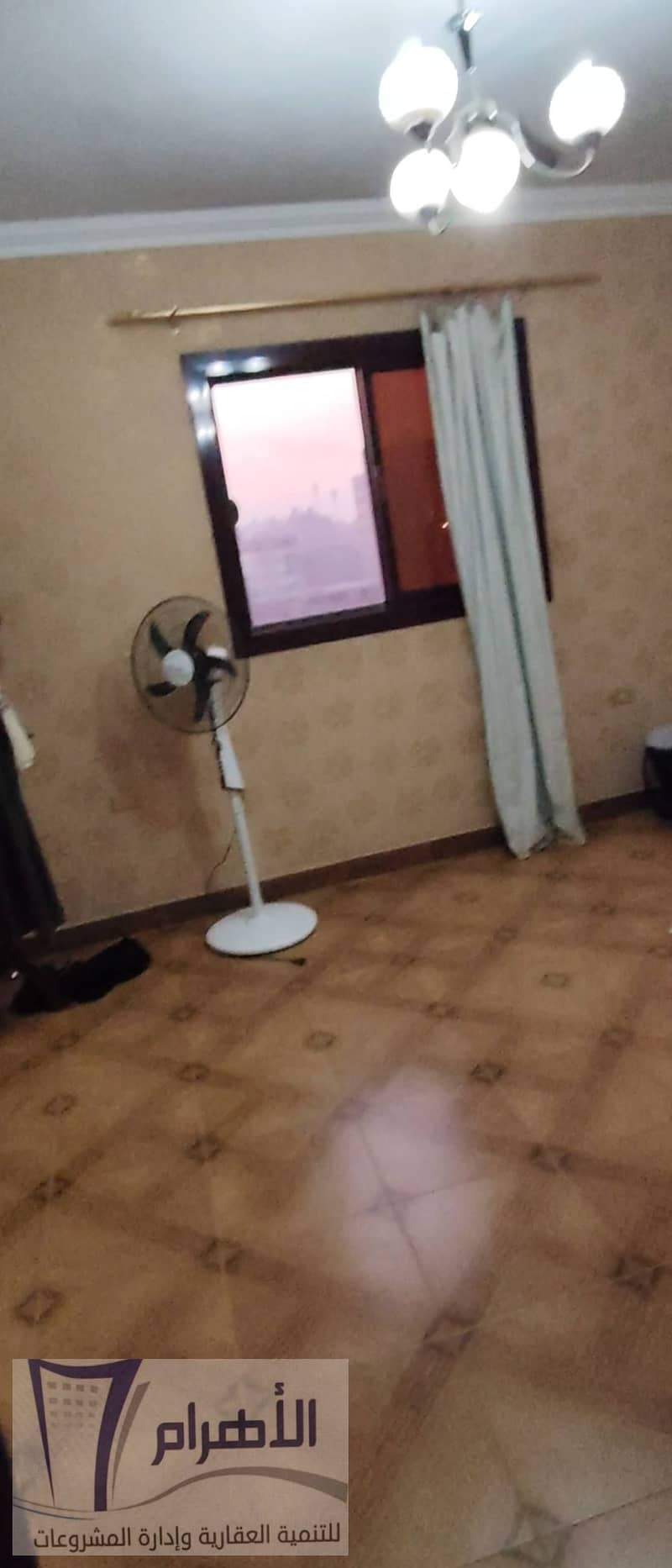 13 620090522_1196002152677984_2826475061967236773_n. jpg