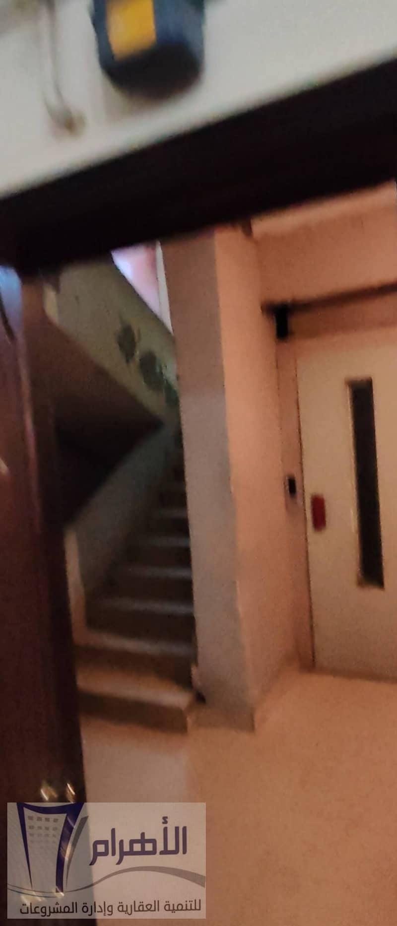 24 622218175_1196002346011298_3180212095350593360_n. jpg