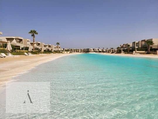 6 1207b78d-b23a-11ef-b0d9-7e719f099347 - Copy (2). jpg