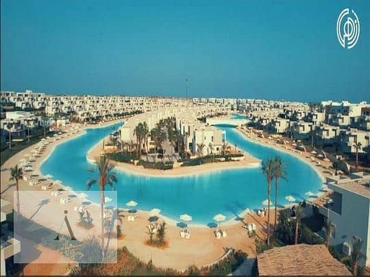 7 1215edab-b23a-11ef-a8f0-2643f0c8b3a7. jpg