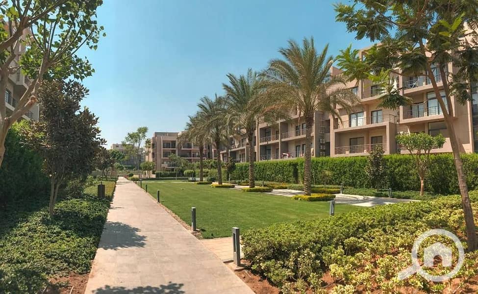 6 600225928_122148938534700570_776831400464623455_n. jpg