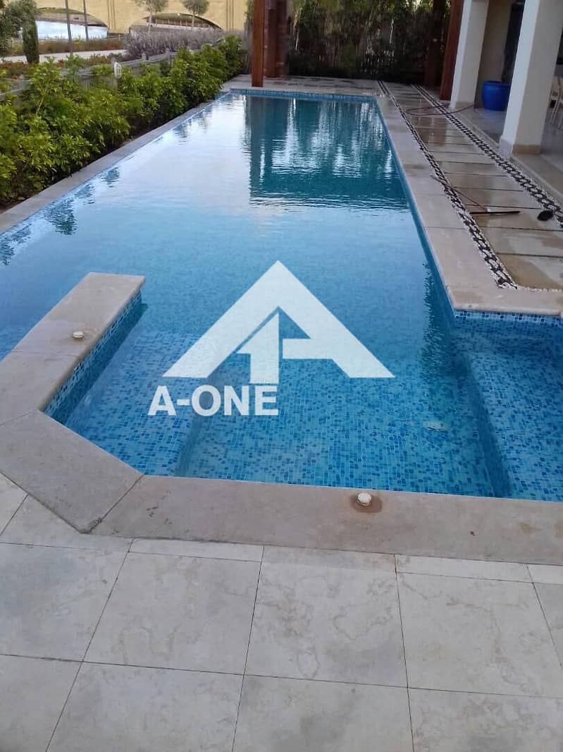 3 e0983ded-0163-4886-b599-15c793c81067. jpg