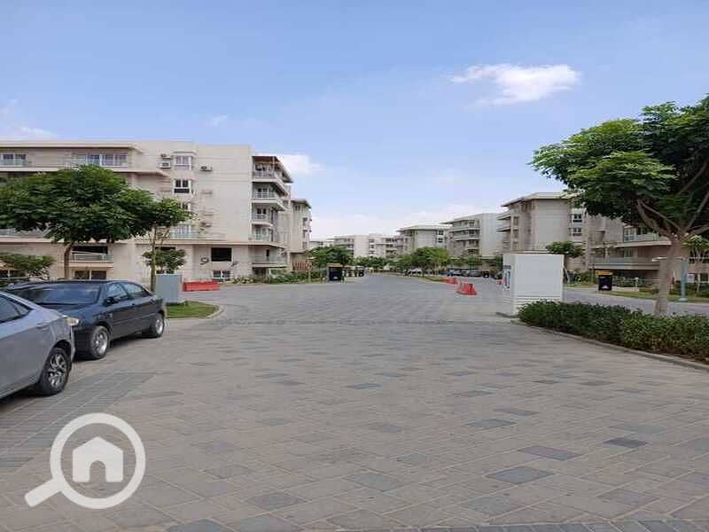 4 0f433b3e-655f-46b8-932e-fc9d65e391b0. jpg