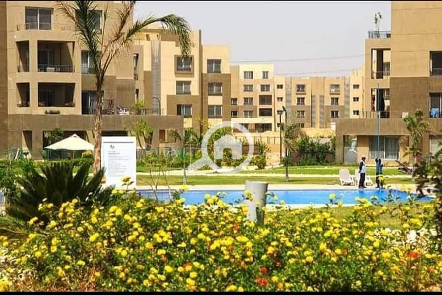 15 WhatsApp Image 2024-11-28 at 12.16. 39_f67d91fb. jpg