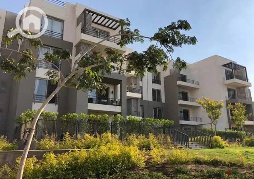 17 WhatsApp Image 2024-11-28 at 12.16. 42_4e54eb0f. jpg