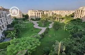 5 download (53). jpg