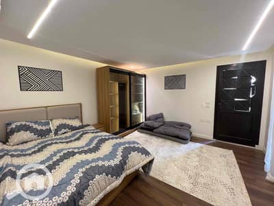 فلیٹ 1 غرفة نوم للايجار في القاهرة الجديدة، القاهرة - 3381132c-793f-4f6f-8001-14758b552579. jpg