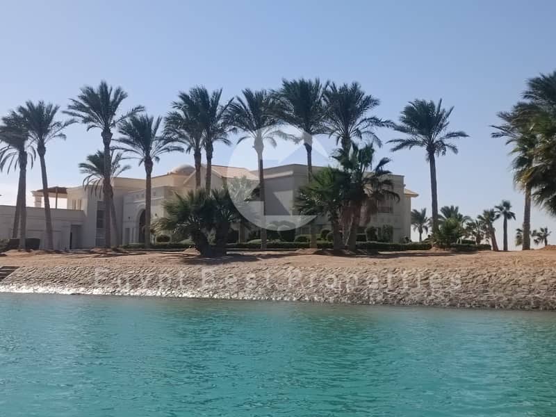 8 IMG-20241208-WA0137. jpg