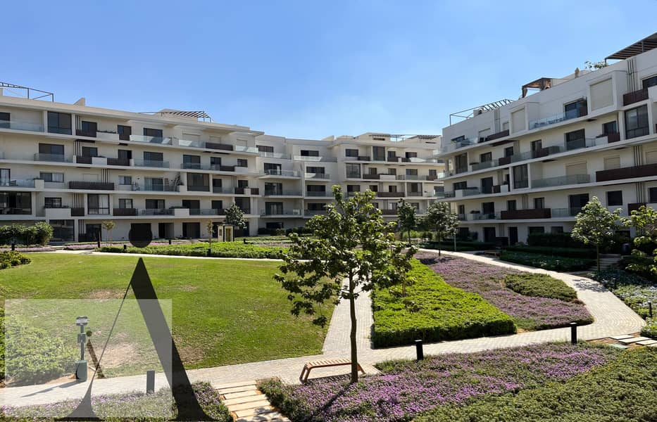 IMG_5667 2. jpg IMG_5667 2. jpg