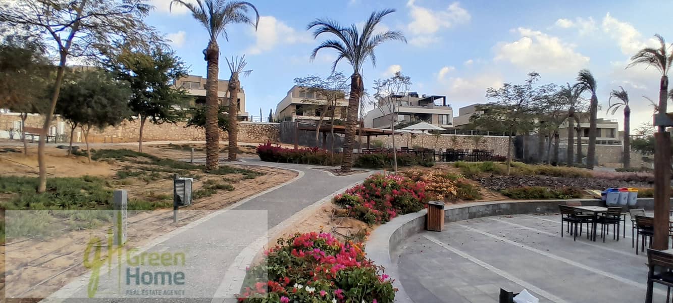 15 20260109_163239. jpg