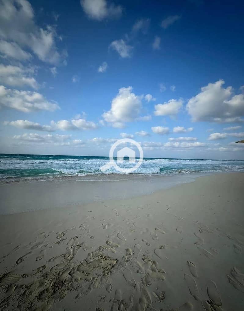 5 WhatsApp Image 2026-01-26 at 5.32. 50 PM (4). jpeg