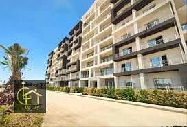 7 image8484646s. jpg