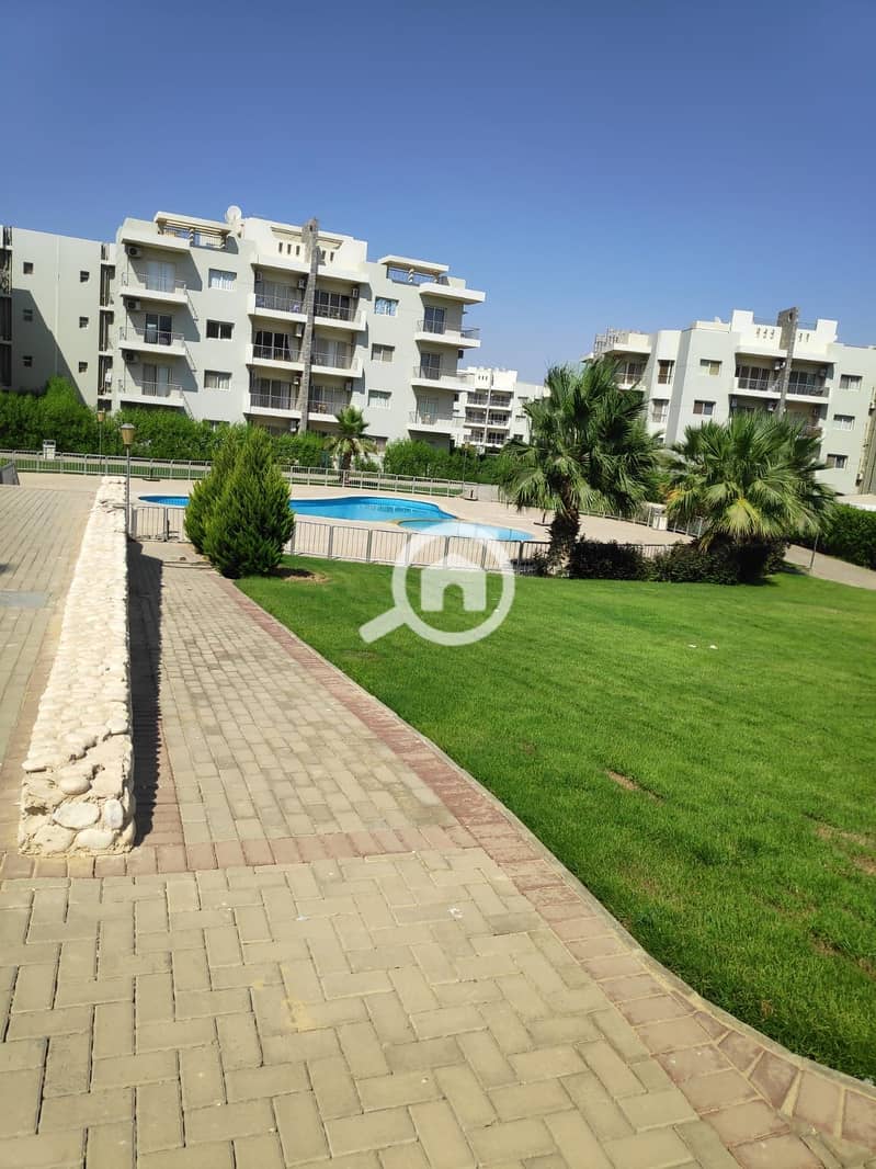 11 95e46f84-599b-4f4e-a435-e5c5caabadf5. jpeg